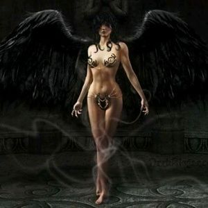 Meet your Posher, Donald